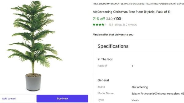 🔥  AloGardening Christmas Tree Plant @ ₹100

🔗 https://bilty.co/R1yVYl
