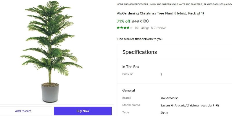 🔥  AloGardening Christmas Tree Plant @ ₹100

🔗 https://bilty.co/R1yVYl