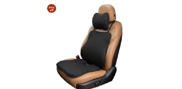Amazon Basics Memory Foam Car Comfort Combo